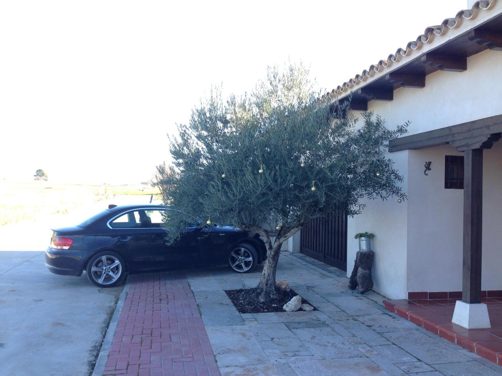 La Pena Del Gato Villa Buendía Kültér fotó