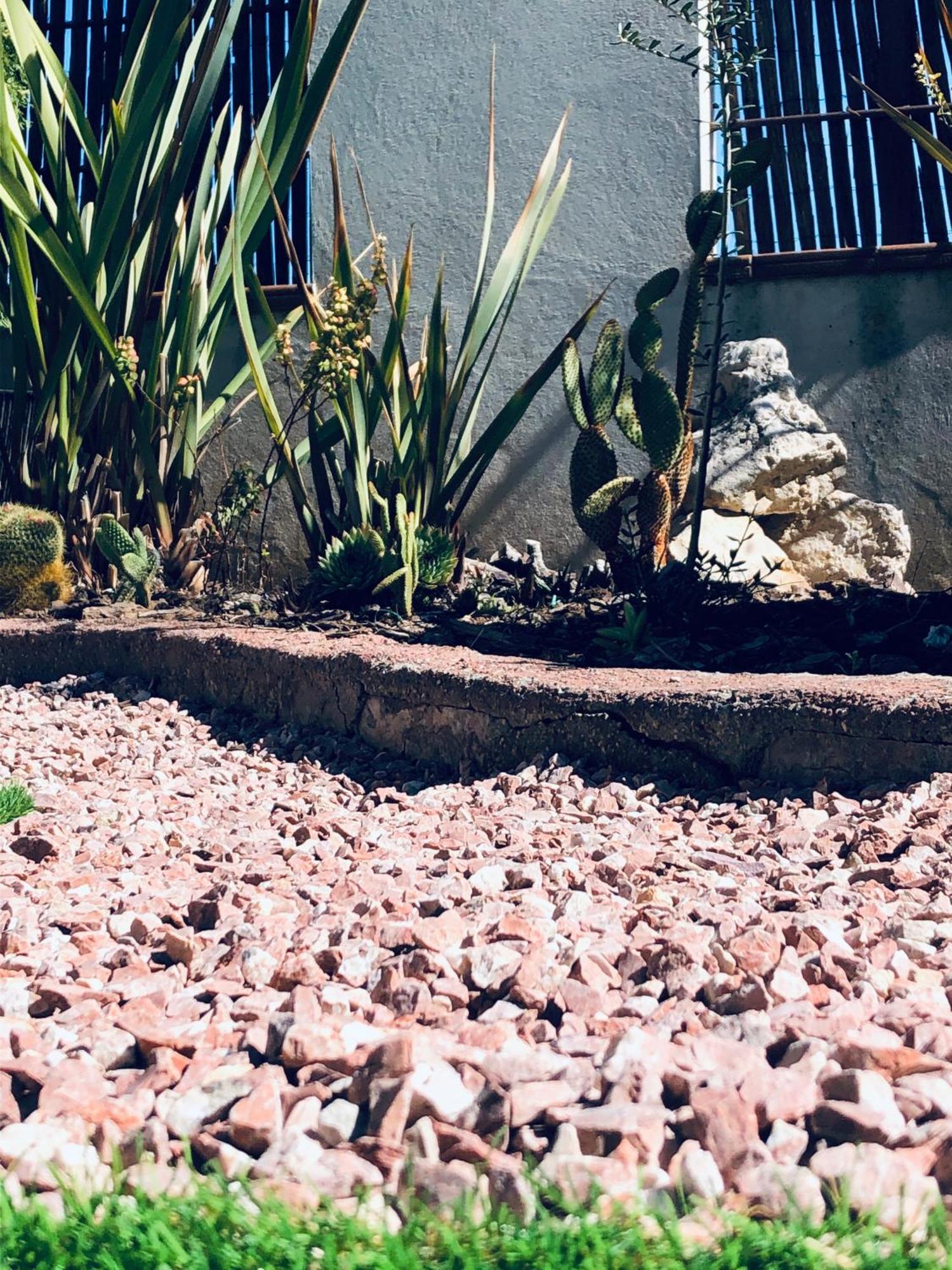 La Pena Del Gato Villa Buendía Kültér fotó
