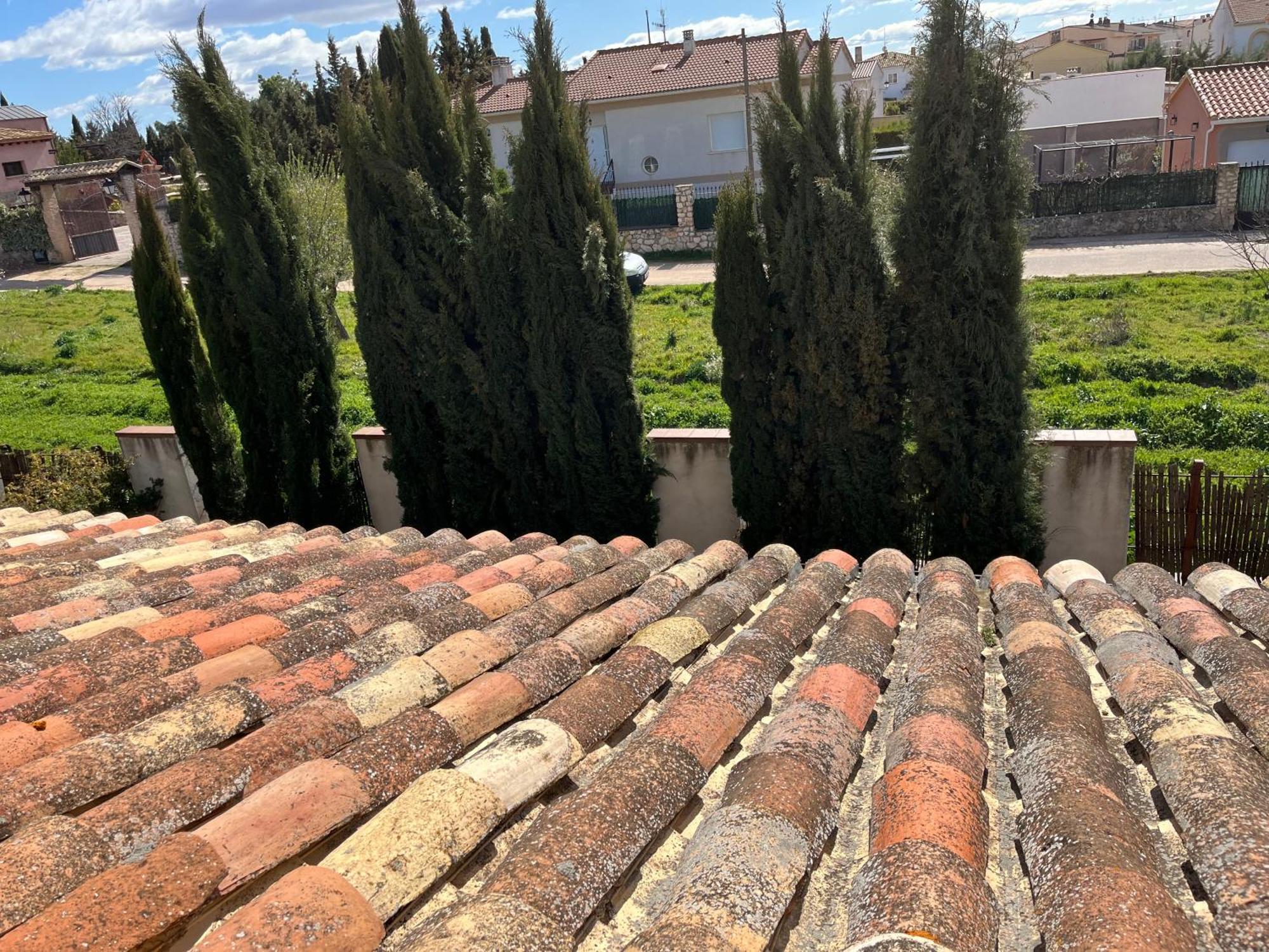 La Pena Del Gato Villa Buendía Kültér fotó